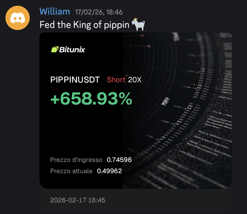 PIPPINUSDT Short 20X +658.93%